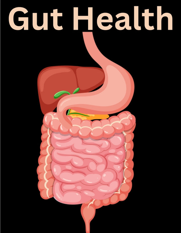 Gut Health