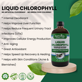 Liquid Chlorophyll - 16oz