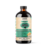 PURE SEAMOSS LION'S MANE - 16oz
